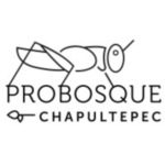 Probosque Chapultepec